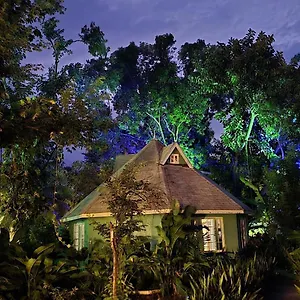 Lodge Bak A Yaad Negril